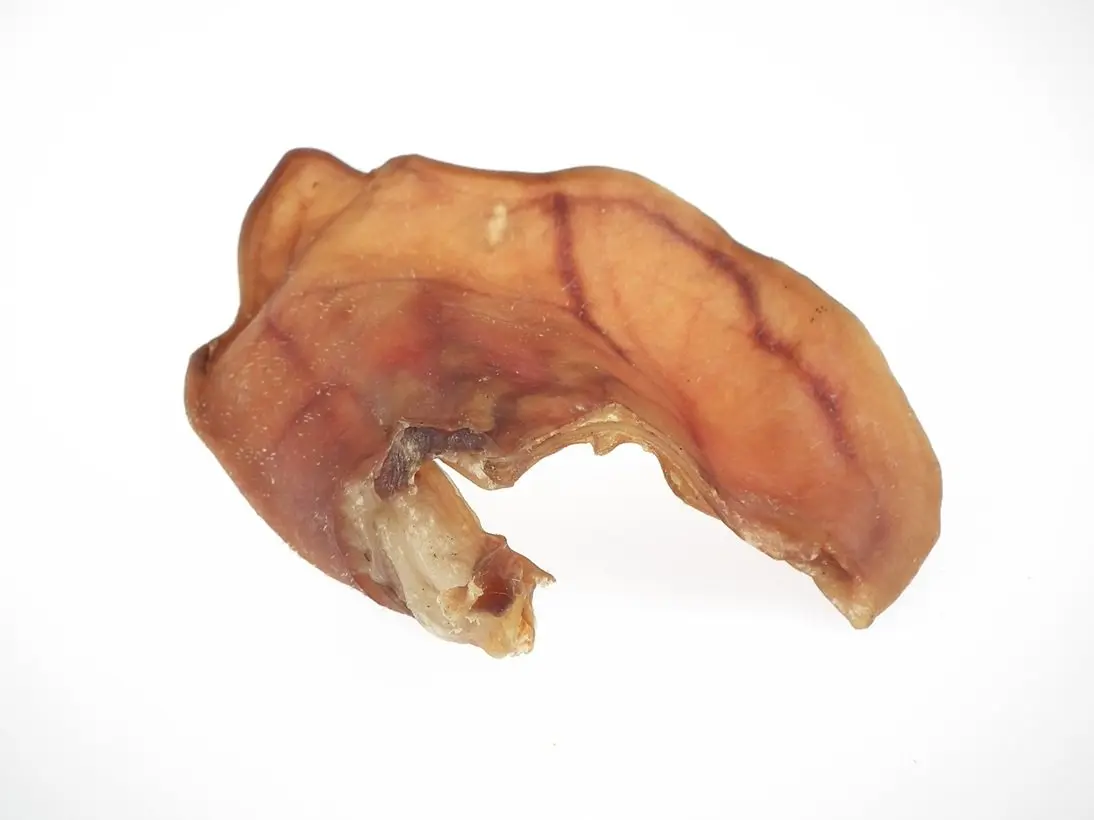 Schweineohren – für Hunde mit Schwein, natureDOGproducts