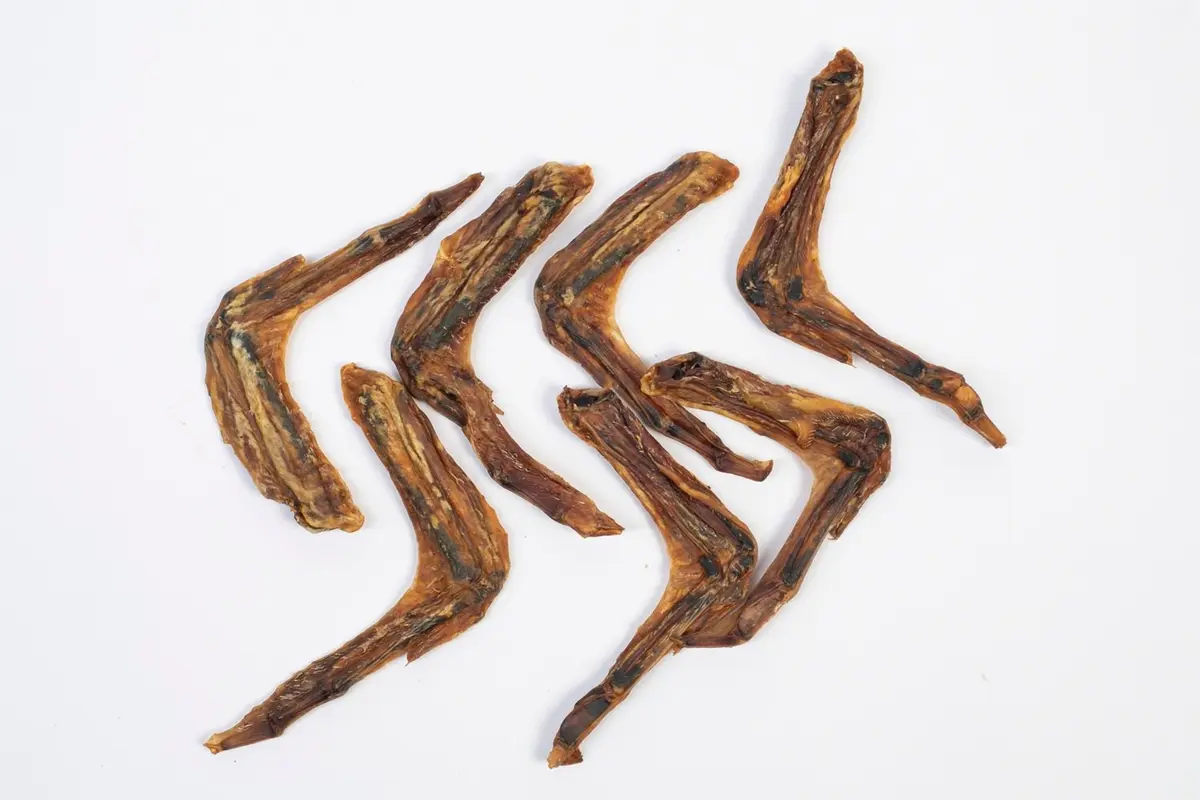 Enten-Flügel ganze (Duck Wings) – für Hunde mit Ente, natureDOGproducts