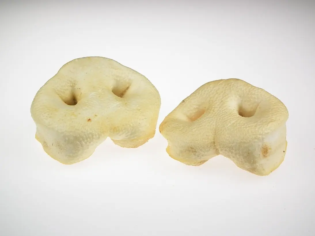 Honignase gepufft – für Hunde mit Schwein, natureDOGproducts