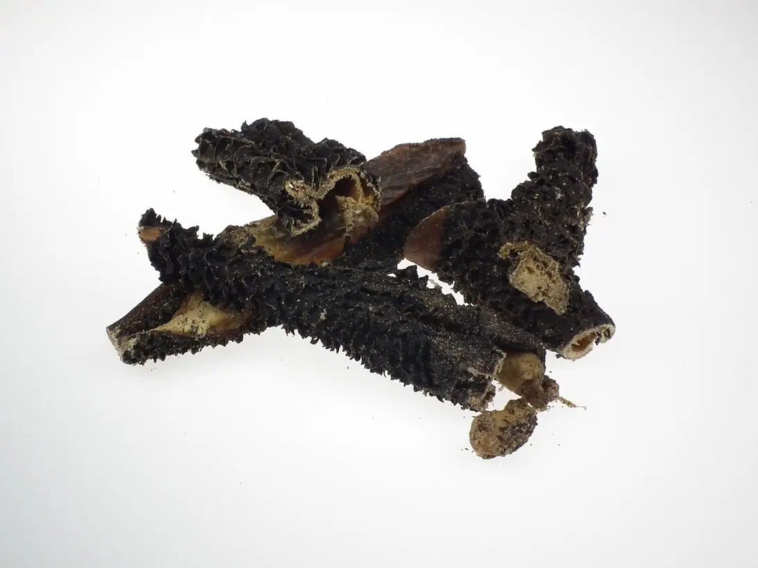 Rinder-Pansen europäisch – für Hunde mit Rind, natureDOGproducts
