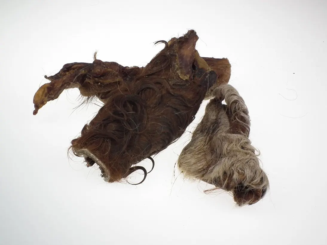 Rinder-Kopfhaut mit Fell ca. 15 cm – für Hunde mit Rind, natureDOGproducts