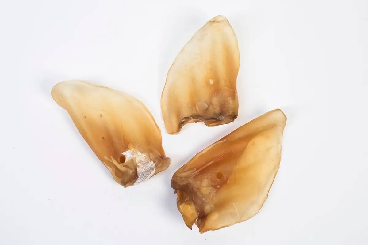 Rinder-Ohren o. Muschel groß europäisch – für Hunde mit Rind, natureDOGproducts