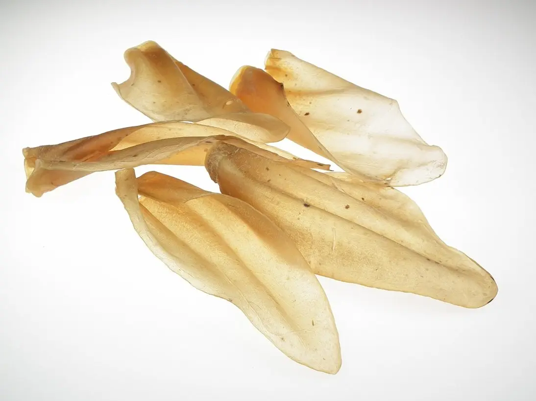 Rinder-Ohren ohne Muschel klein indisch – für Hunde mit Rind, natureDOGproducts