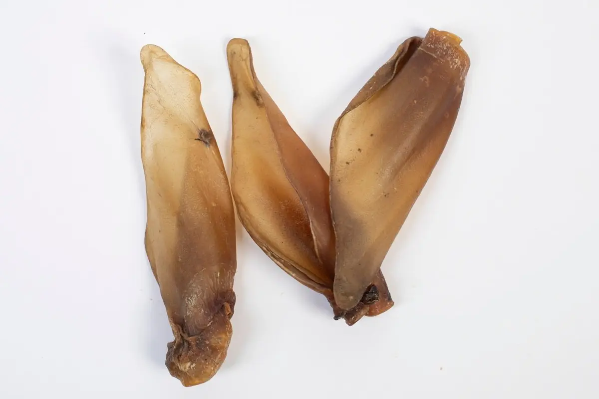 Rinder-Ohren mit Muschel indisch – für Hunde mit Rind, natureDOGproducts