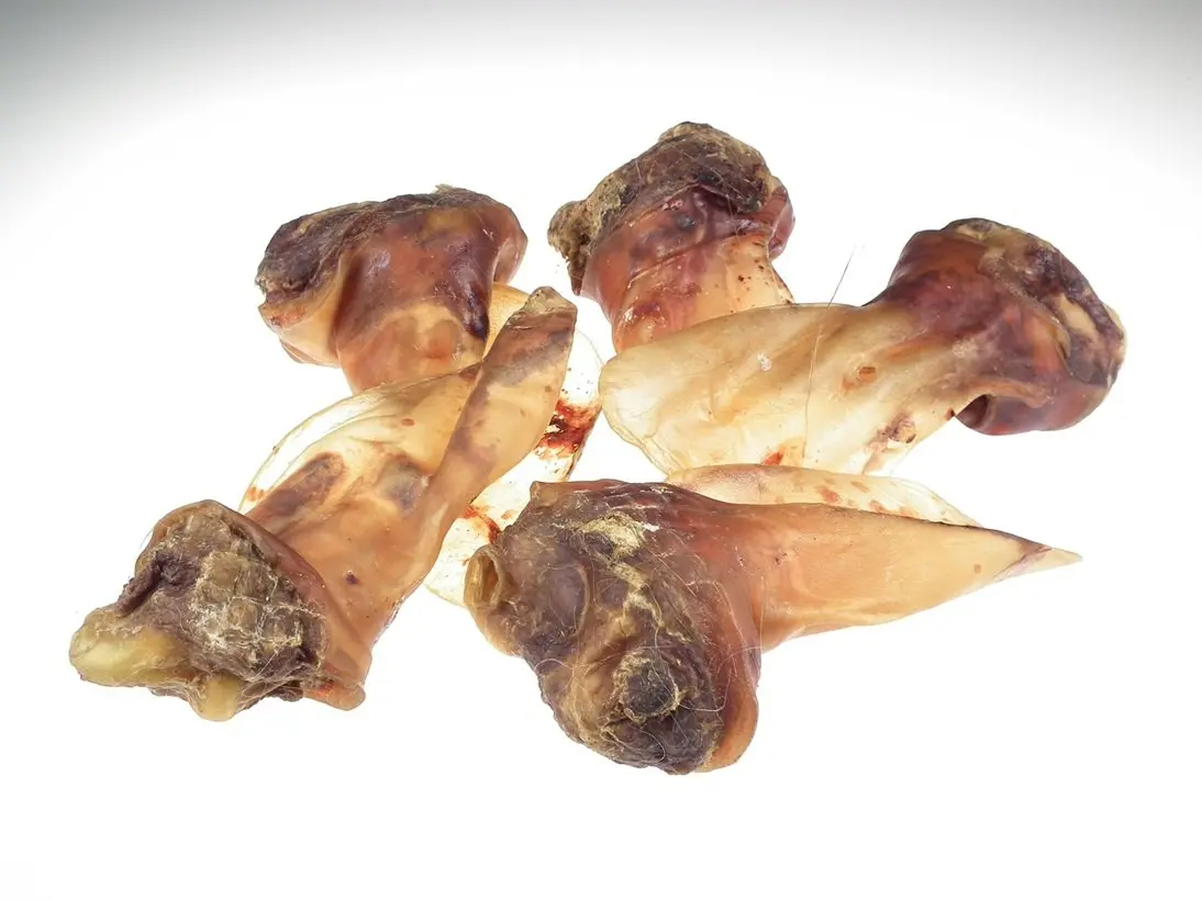 Rinder-Ohren mit Muschel europäisch – für Hunde mit Rind, natureDOGproducts