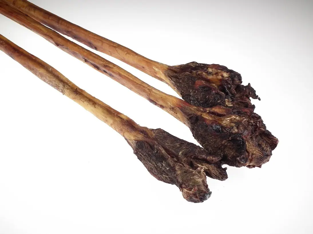 Ochsenziemer XXL mit Fleischkeule – für Hunde mit Rind, natureDOGproducts