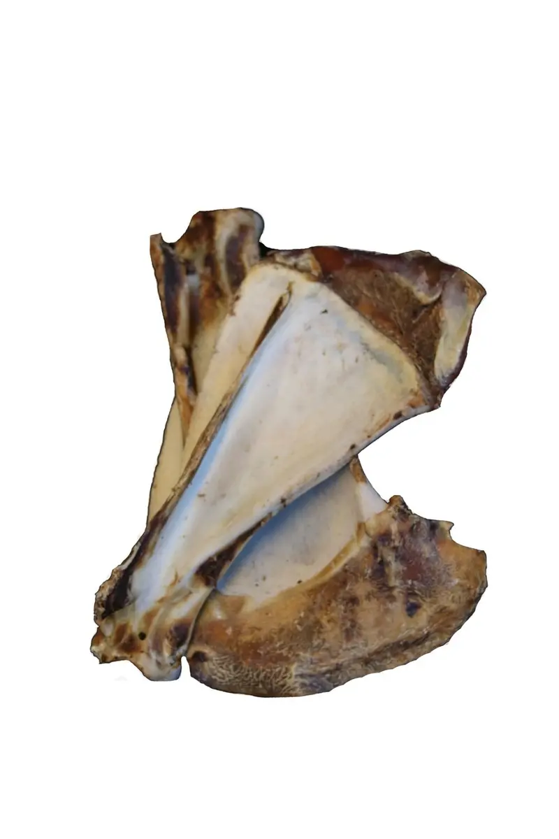 Rinder-Schulterblattknochen (ca. 1,1 kg) – für Hunde mit Rind, natureDOGproducts