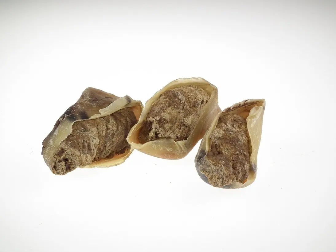 Kalbs-Hufe mit dunkler Pastete – für Hunde mit Rind, natureDOGproducts