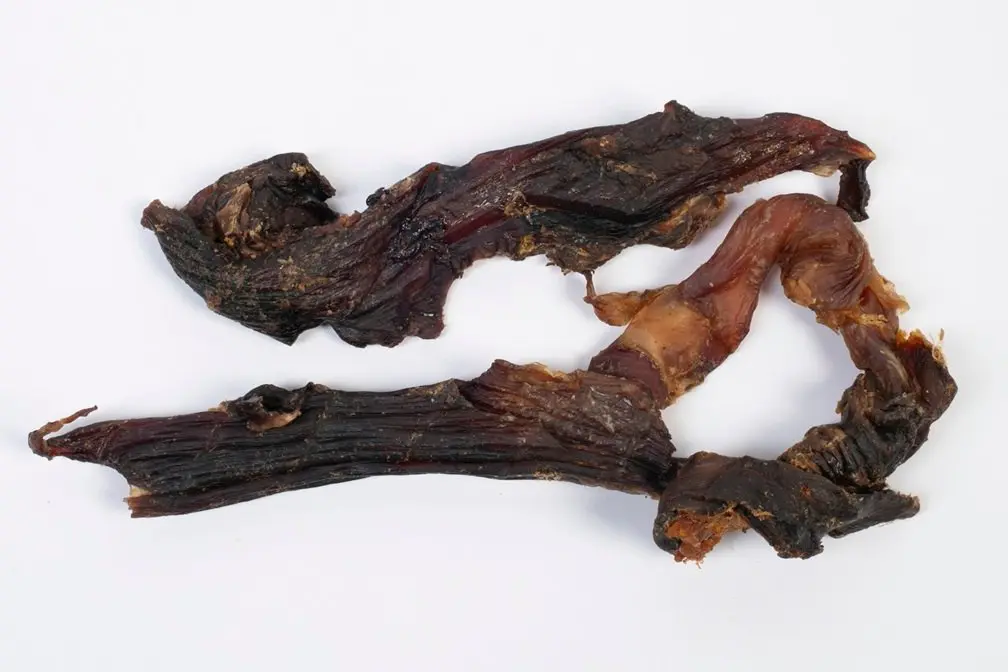 Pferde-Bauchsehne – für Hunde mit Pferd, natureDOGproducts