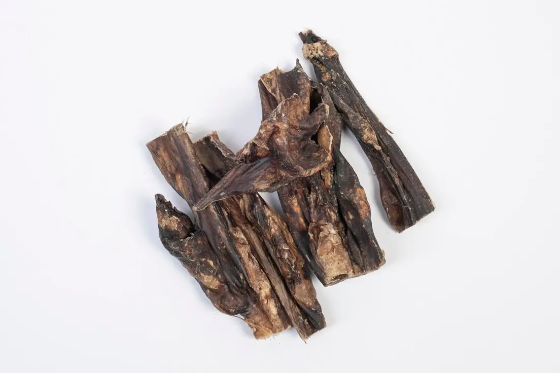 Lamm-Lunge – für Hunde mit Lamm, natureDOGproducts