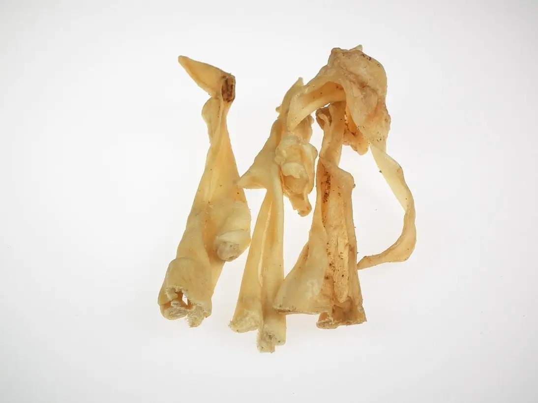 Lamm-Kopfhaut – für Hunde mit Lamm, natureDOGproducts