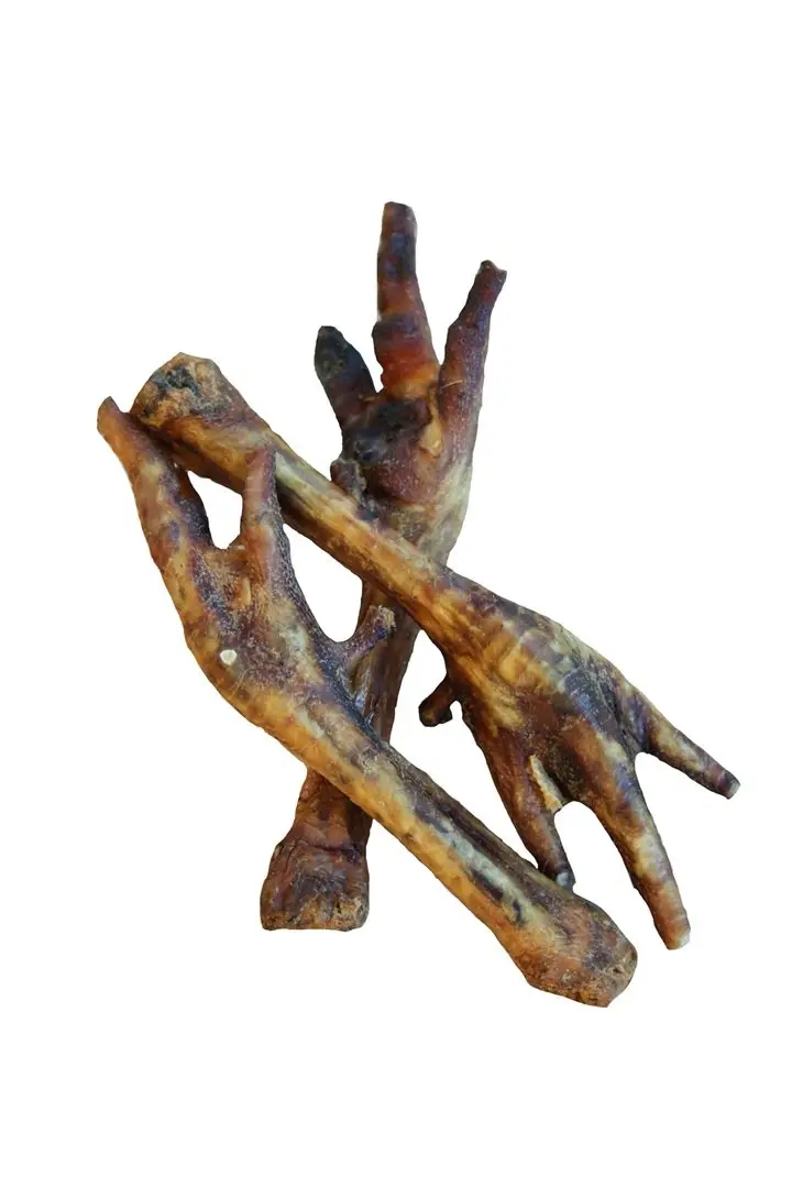 Puten-Füße (Krallen) – für Hunde mit Pute, natureDOGproducts
