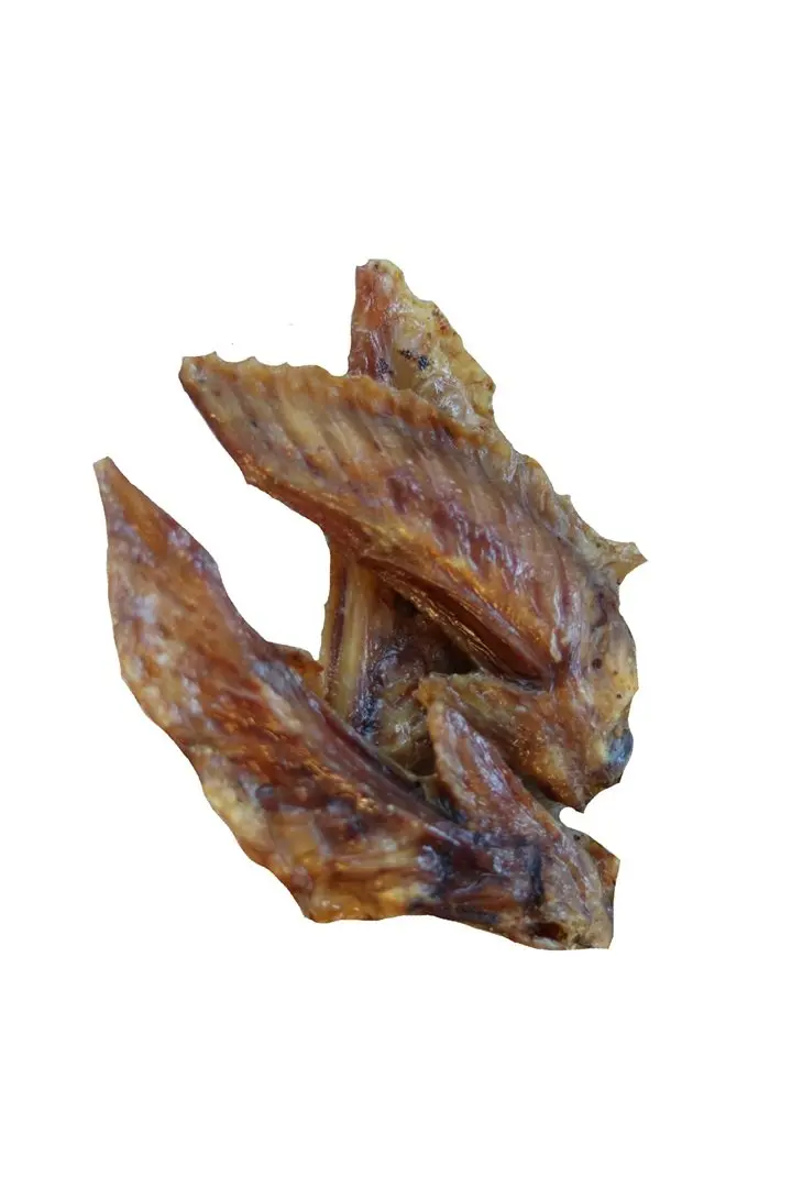 Puten-Flügelspitzen (Turkey Wings) – für Hunde mit Pute, natureDOGproducts