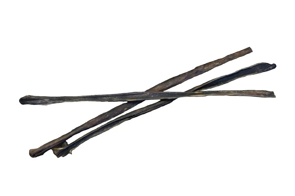 Hirsch-Rückenhaut natur ca. 50 cm europäisch – für Hunde mit Wild, natureDOGproducts