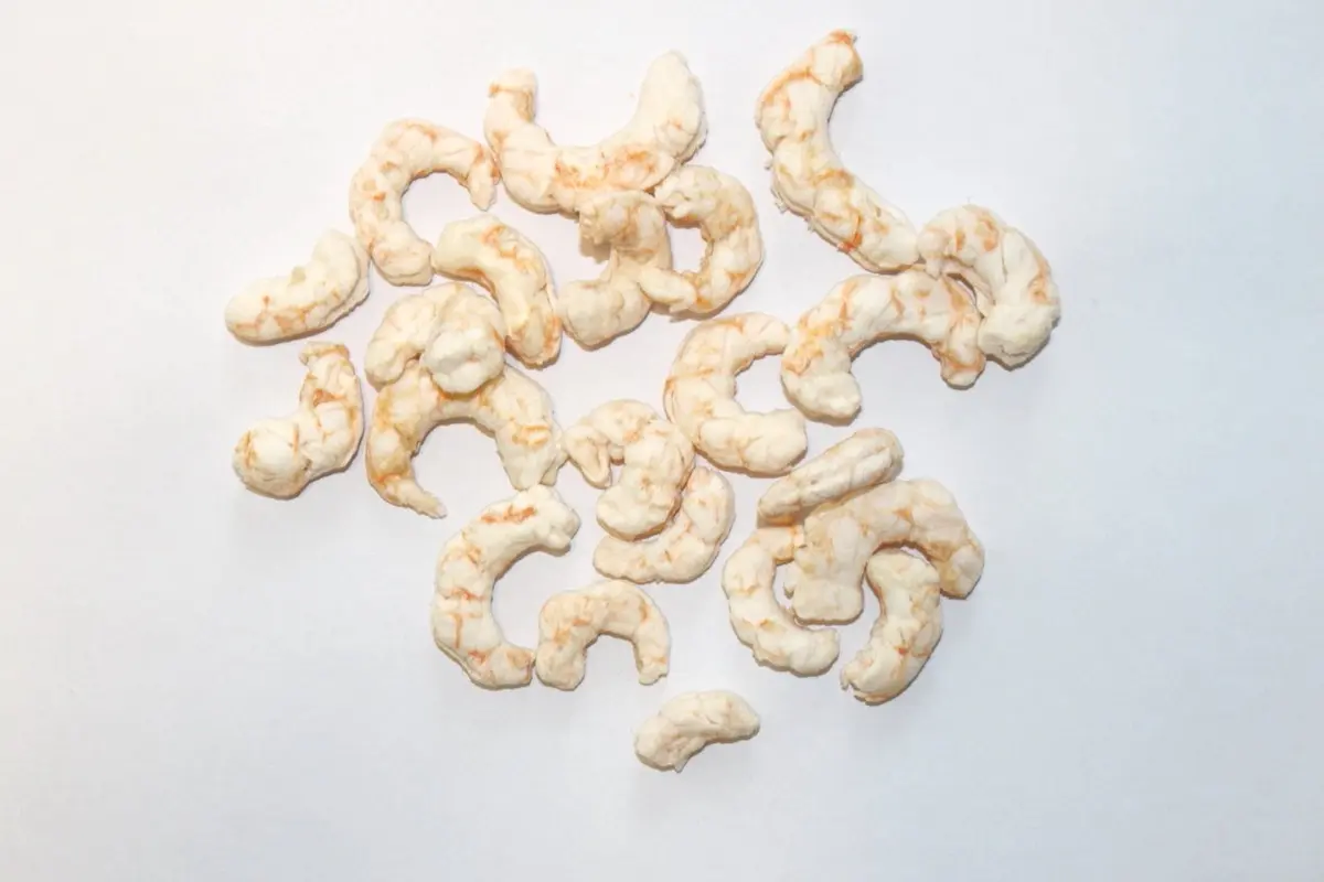 Grönlandgarnelen (Shrimps) gefriergetrocknet – für Hunde mit Fisch, natureDOGproducts