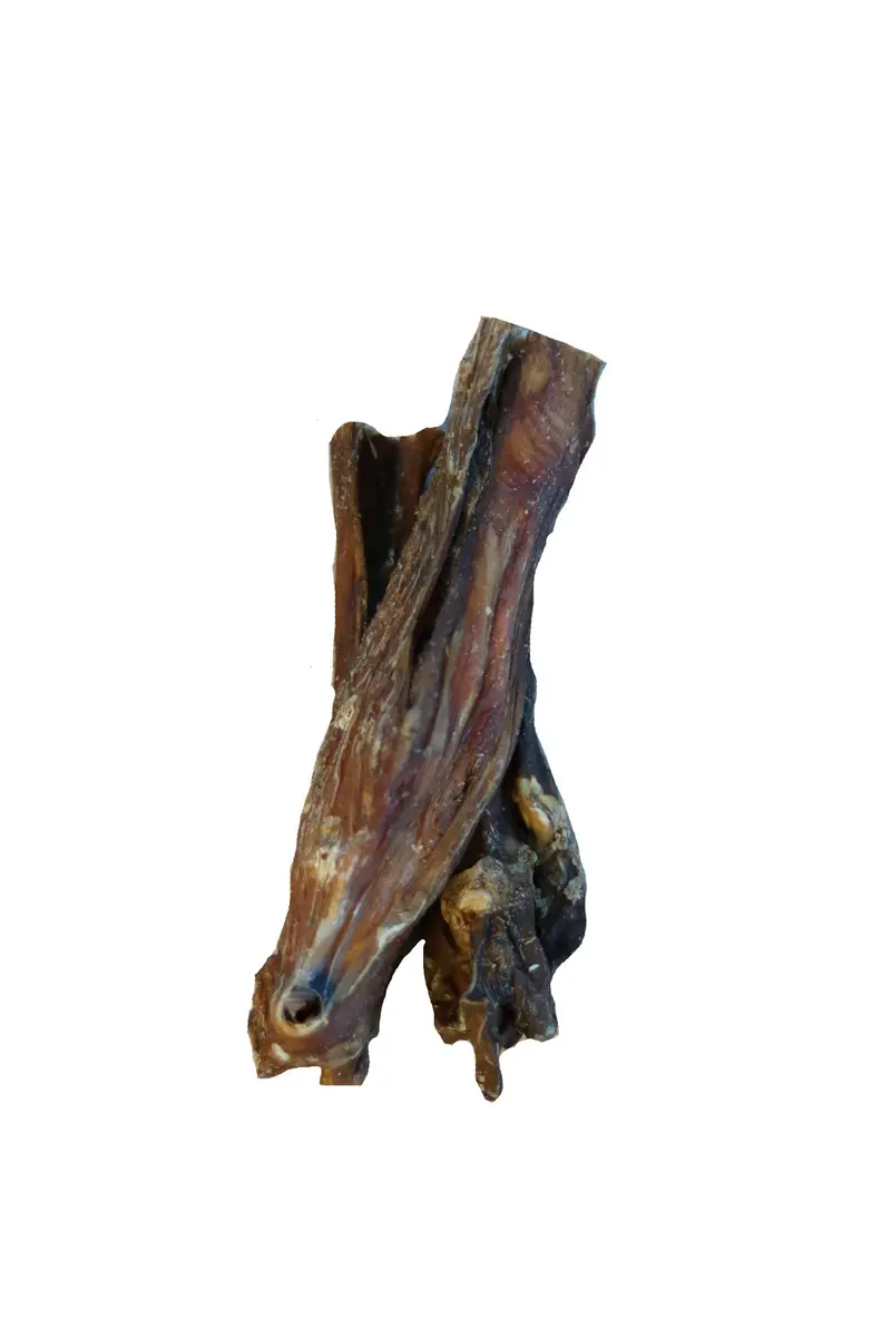 Pferde-Magen – für Hunde mit Pferd, natureDOGproducts