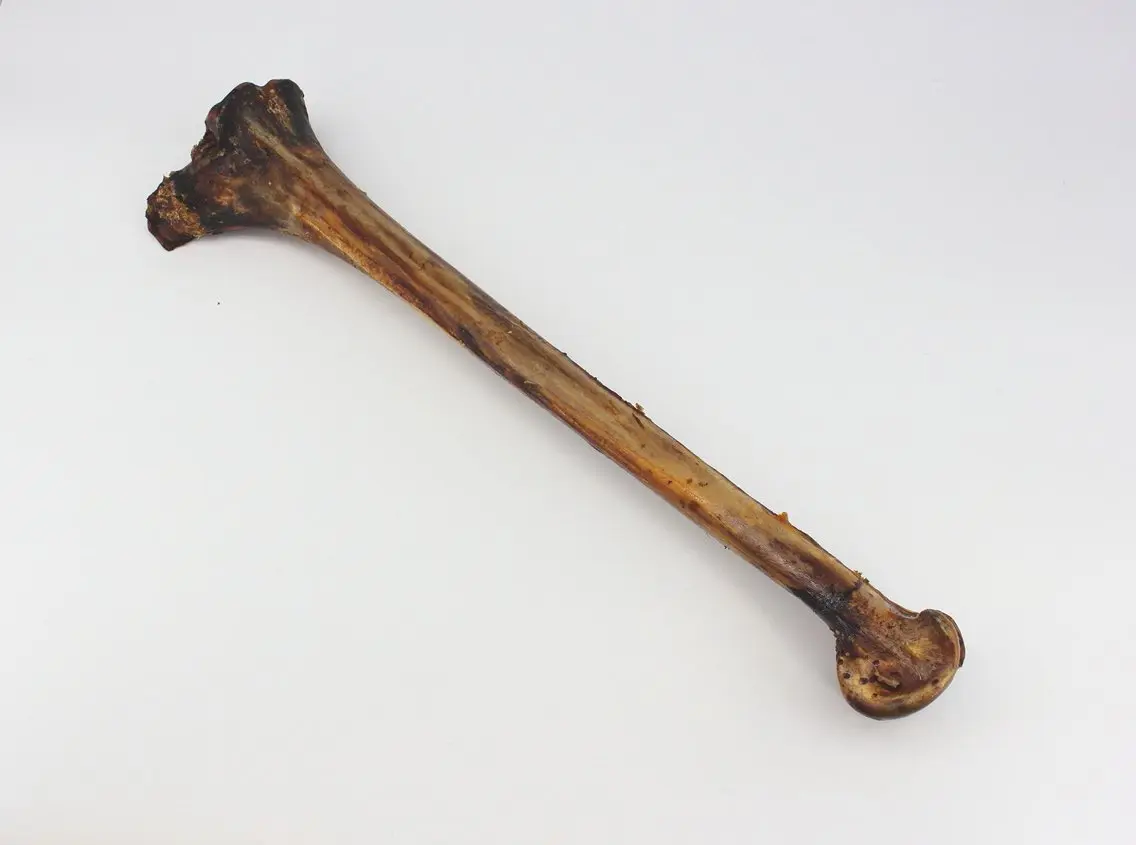 Straußen-Knochen, Unterschenkel ca. 800g (ca. 50 cm) – für Hunde mit Strauß, natureDOGproducts