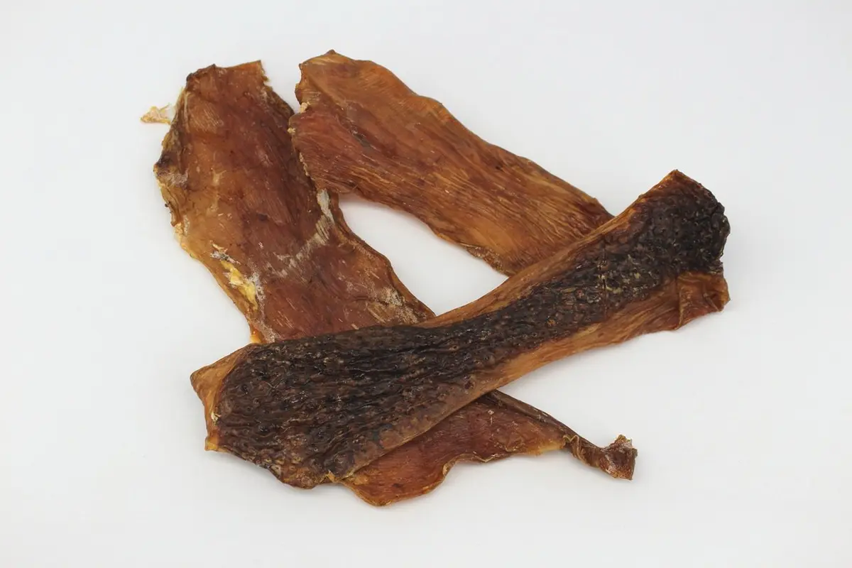 Straußen-Fleisch (Muskelmagen), flache Platten – für Hunde mit Strauß, natureDOGproducts