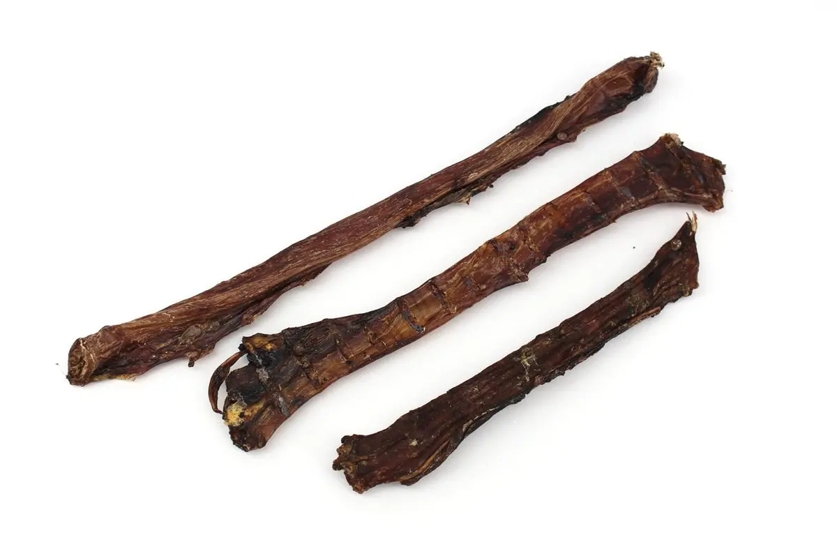 Straußen-Dörrfleisch flach ca. 15-35 cm – für Hunde mit Strauß, natureDOGproducts