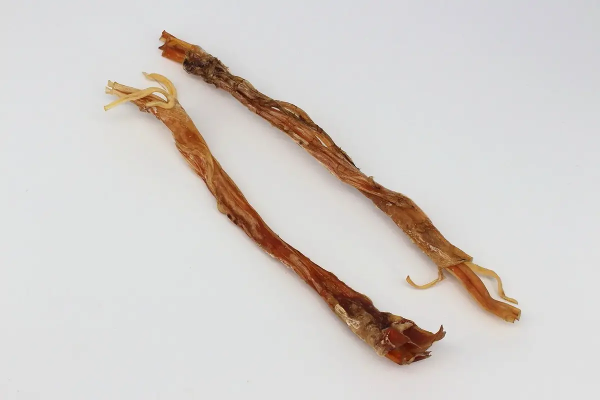 Straußen-Sehnen lang rund ca. 30-35 cm – für Hunde mit Strauß, natureDOGproducts