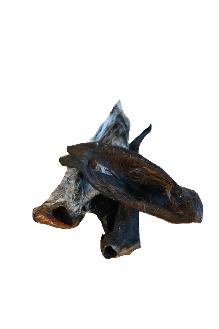 Pferde-Ohren mit Fell – für Hunde mit Pferd, natureDOGproducts