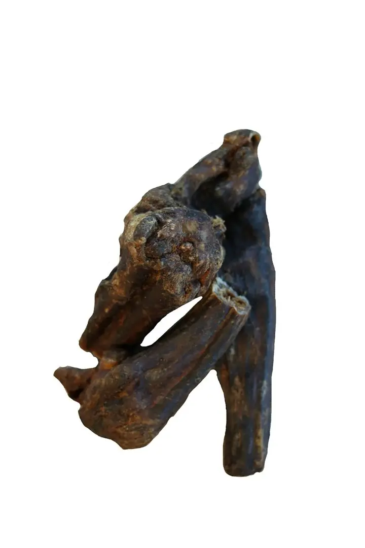 Pferde-Schwänze – für Hunde mit Pferd, natureDOGproducts