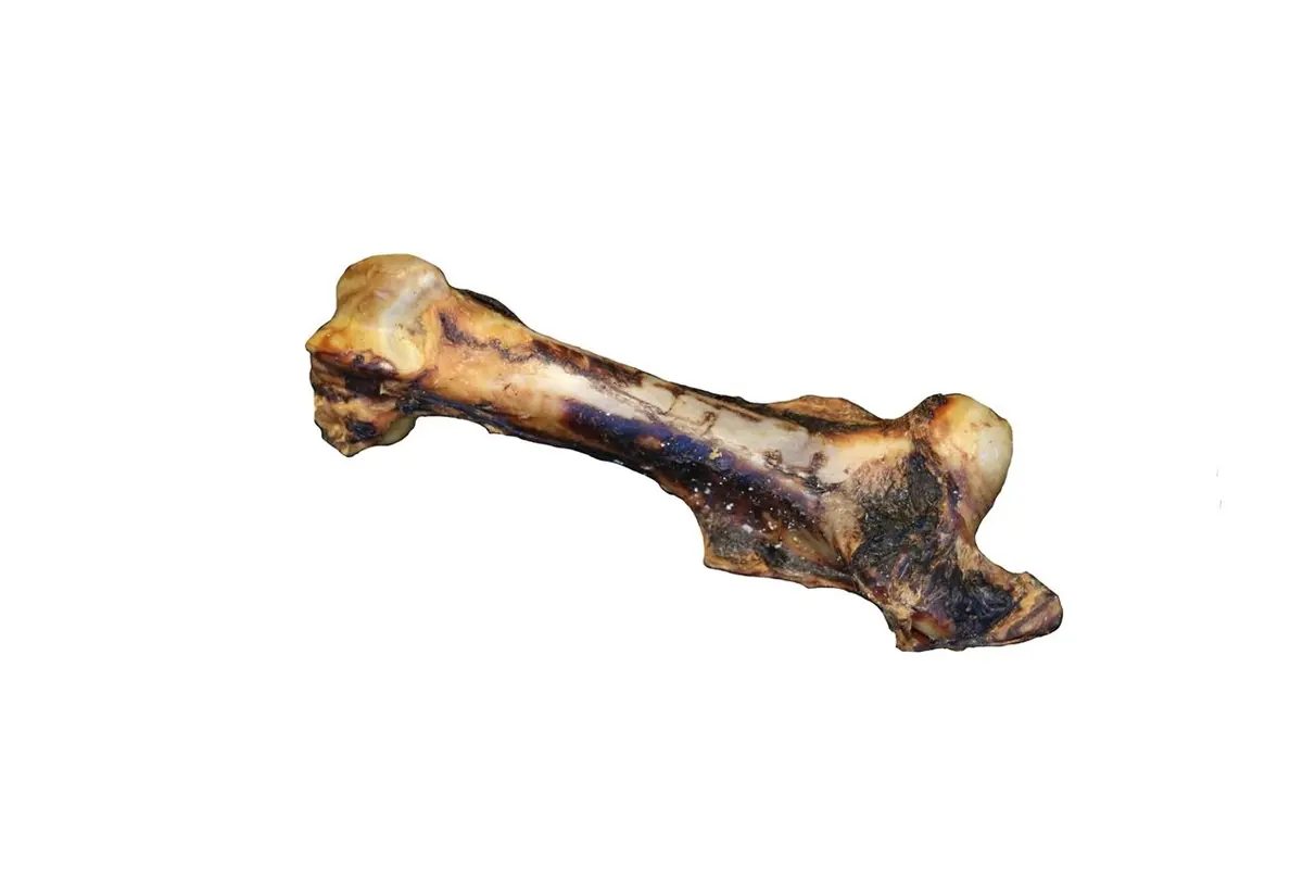 Pferde-Jumboknochen – für Hunde mit Pferd, natureDOGproducts