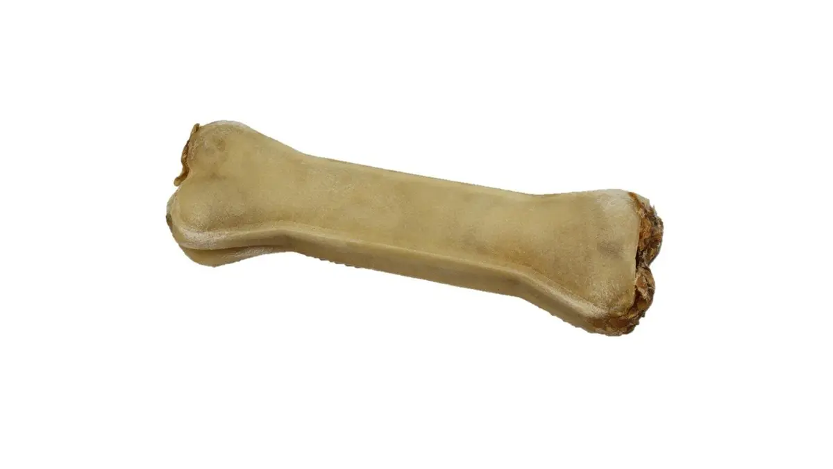 FellVital - Rinderhaut mit Insektenprotein/Biotin 17 cm (115g) (m. E.) – für Hunde mit Insekt, kauhelden
