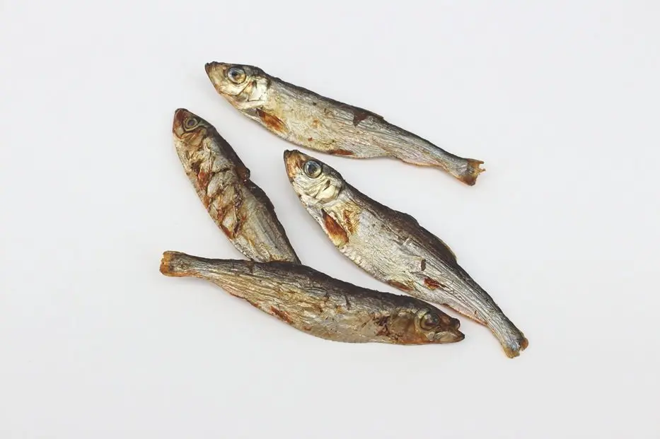 Sprotten ca. 11 cm – für Hunde mit Fisch, natureDOGproducts