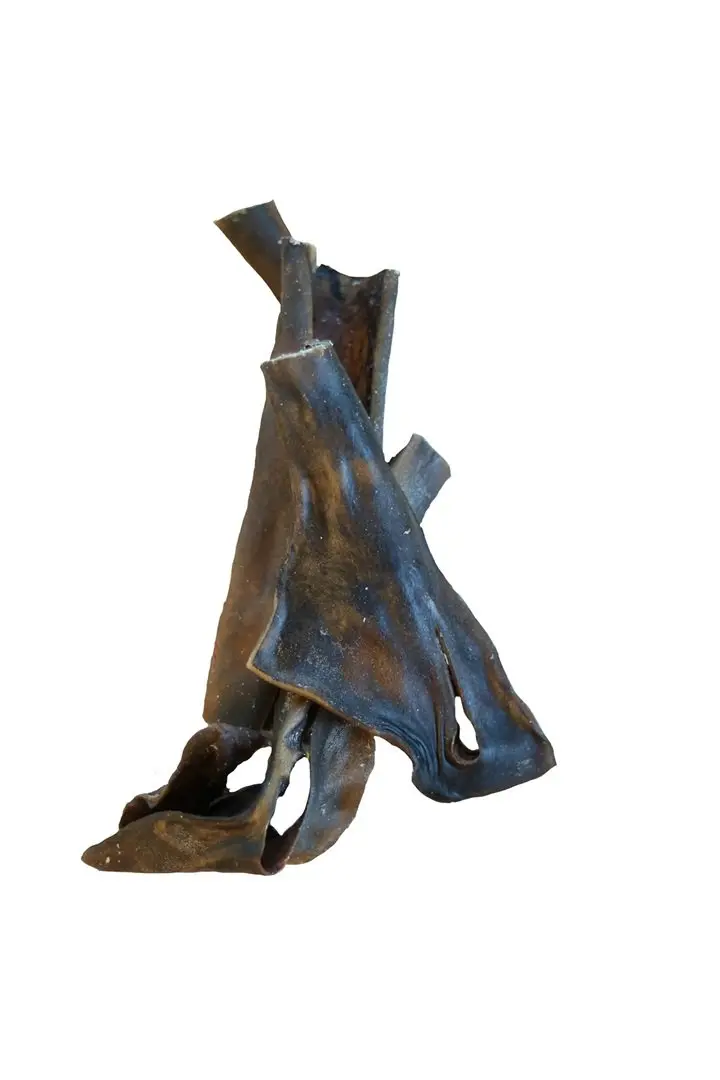 Kamel-Haut ca. 15 cm – für Hunde mit Kamel, natureDOGproducts